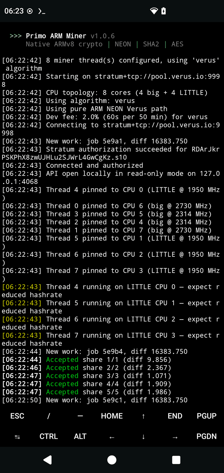 Termux session mining Verus: startup banner, CPU topology, dev fee line, thread pinning, accepted shares in green